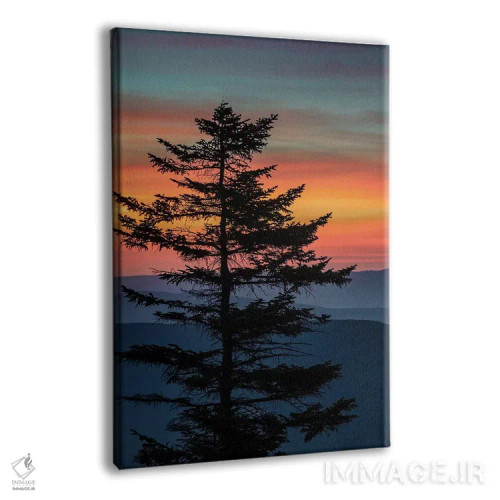 تابلو دکوراتیو West Virginia, Blackwater Falls State Park. Tree and landsca… اثر جینز گالری - نمای پرسپکتیو محصول
