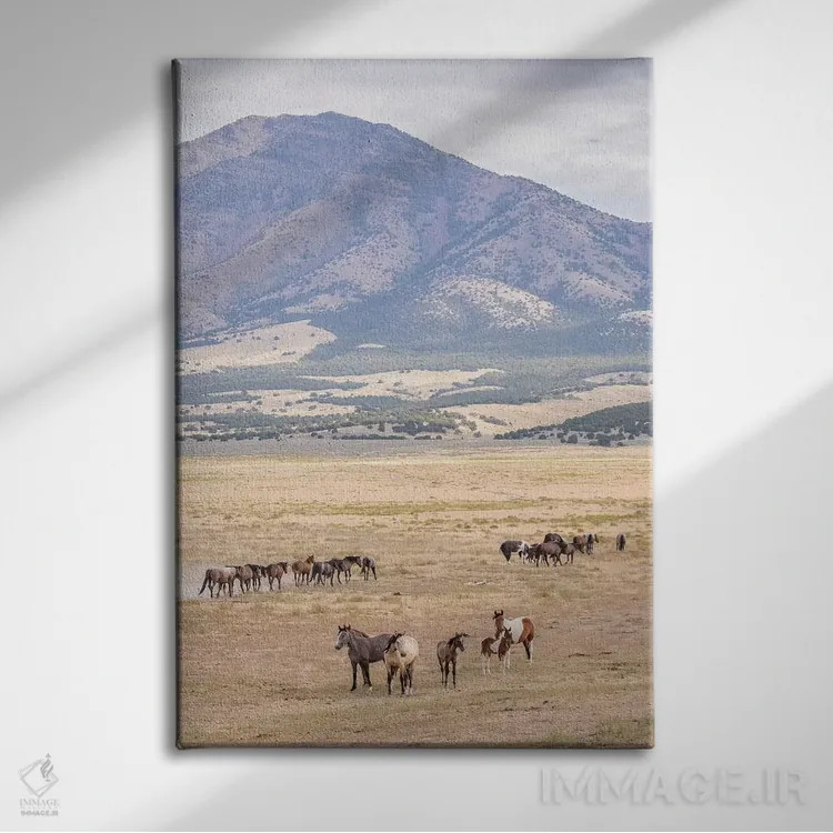تابلو دکوراتیو Utah, Tooele County. Wild horse bands and mountain.,ایالات م… اثر جینز گالری - نمای روبهرو روی دیوار