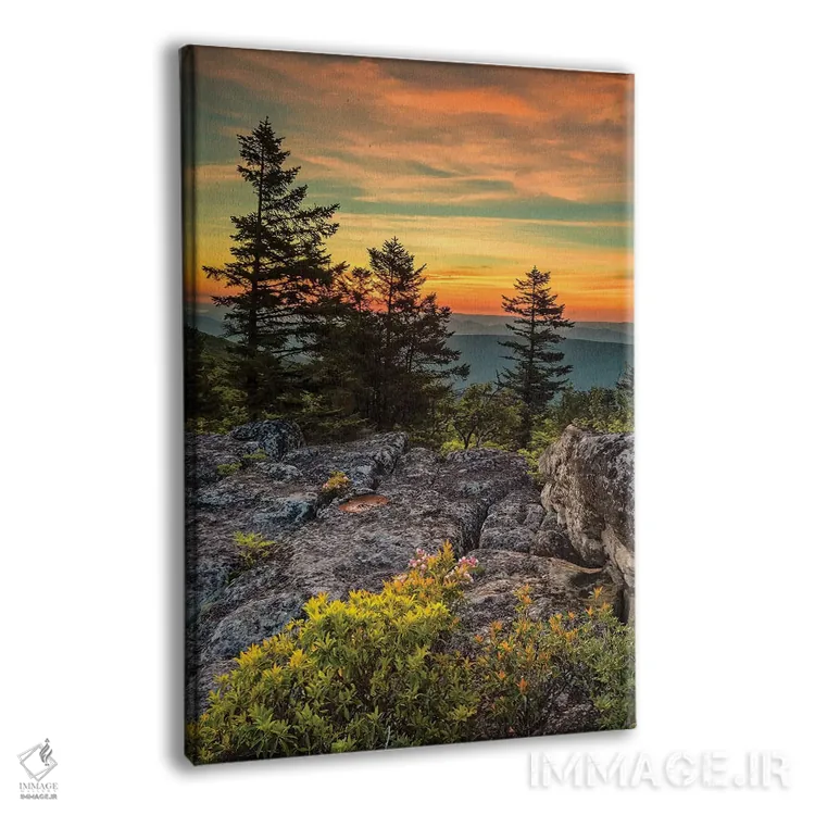 تابلو دکوراتیو West Virginia, Blackwater Falls State Park. Tree and landsca… اثر جینز گالری - نمای پرسپکتیو محصول