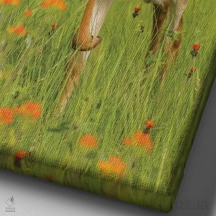 تابلو دکوراتیو Minnesota, Pine County. Captive fawn.,آمریکا، مینه سوتا، شهر… اثر جینز گالری - نمای نزدیک بافت بوم