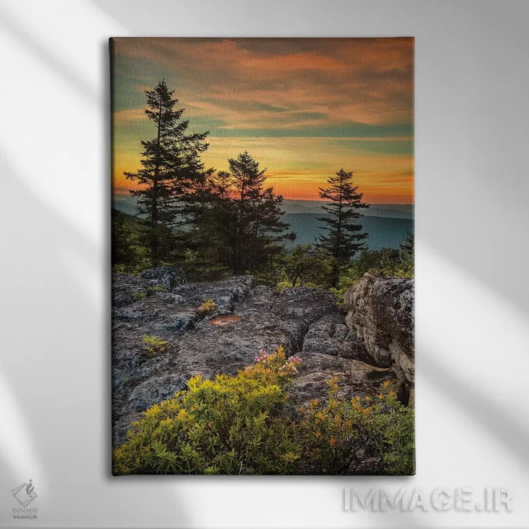 تابلو دکوراتیو West Virginia, Blackwater Falls State Park. Tree and landsca… اثر جینز گالری - نمای روبهرو روی دیوار