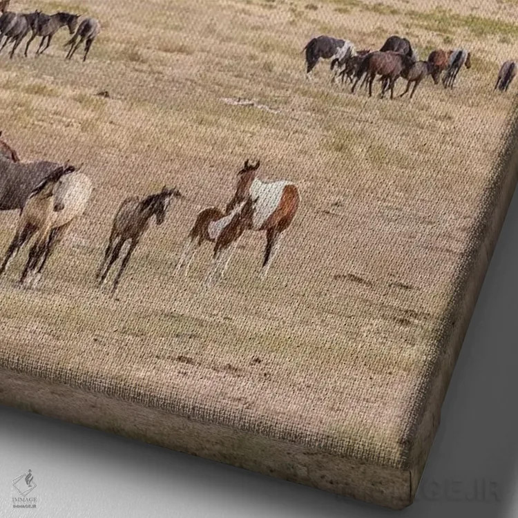 تابلو دکوراتیو Utah, Tooele County. Wild horse bands and mountain.,ایالات م… اثر جینز گالری - نمای نزدیک بافت بوم