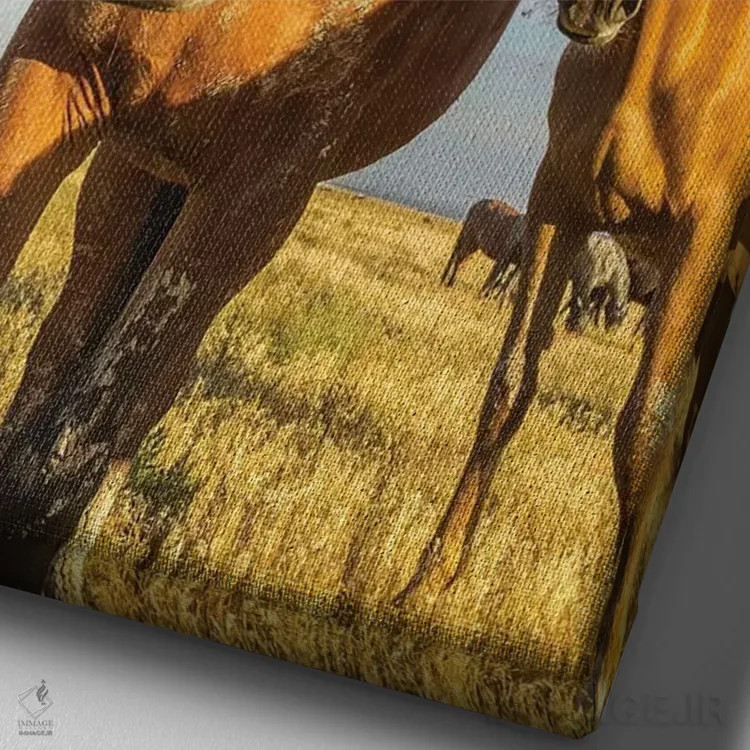 تابلو دکوراتیو Utah, Tooele County. Wild horses close-up.,ایالات متحده، یوت… اثر جینز گالری - نمای نزدیک بافت بوم
