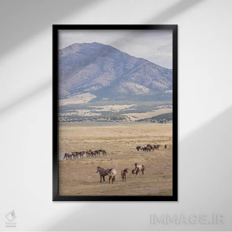 تابلو دکوراتیو Utah, Tooele County. Wild horse bands and mountain.,ایالات م… اثر جینز گالری - نمای قابدار مشکی