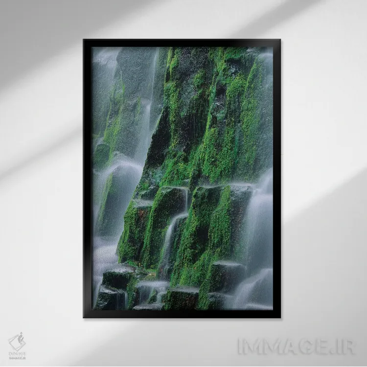تابلو دکوراتیو Oregon, Three Sisters Wilderness. Close-up of Proxy Falls.,ا… اثر جینز گالری - نمای قابدار مشکی