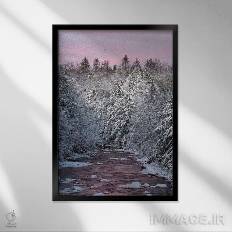 تابلو دکوراتیو West Virginia, Blackwater Falls State Park. Forest and strea… اثر جینز گالری - نمای قابدار مشکی