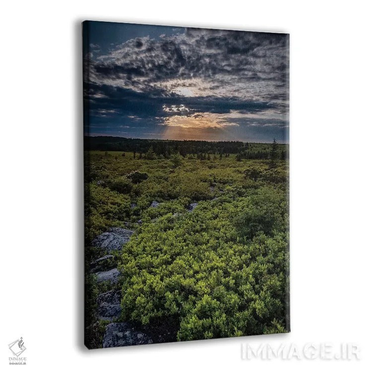 تابلو دکوراتیو West Virginia, Blackwater Falls State Park. Tree and landsca… اثر جینز گالری - نمای پرسپکتیو محصول