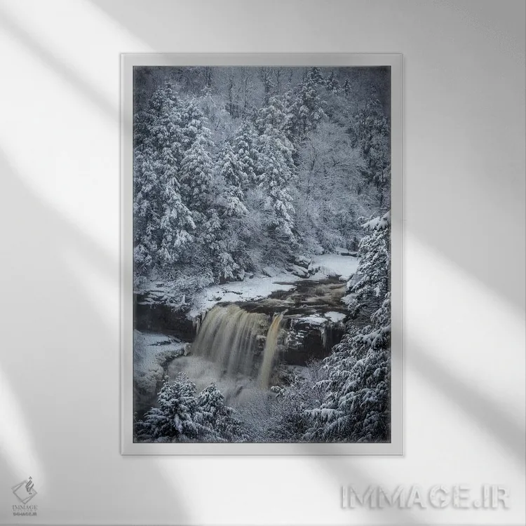 تابلو دکوراتیو West Virginia, Blackwater Falls State Park. Forest and water… اثر جینز گالری - نمای قابدار سفید