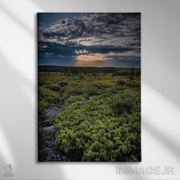 تابلو دکوراتیو West Virginia, Blackwater Falls State Park. Tree and landsca… اثر جینز گالری - نمای روبهرو روی دیوار