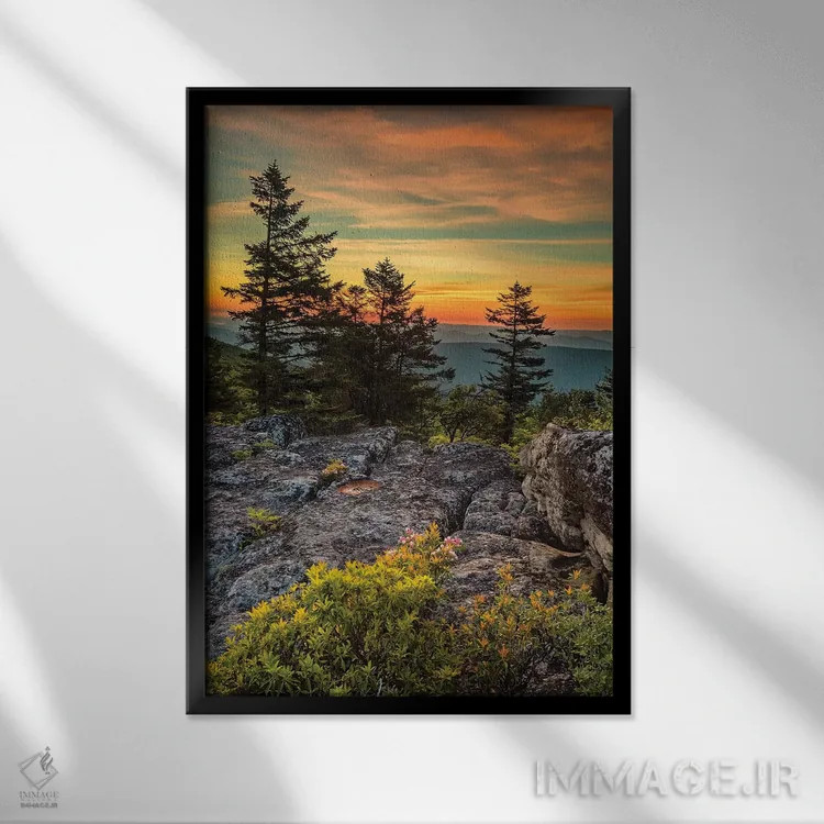تابلو دکوراتیو West Virginia, Blackwater Falls State Park. Tree and landsca… اثر جینز گالری - نمای قابدار مشکی