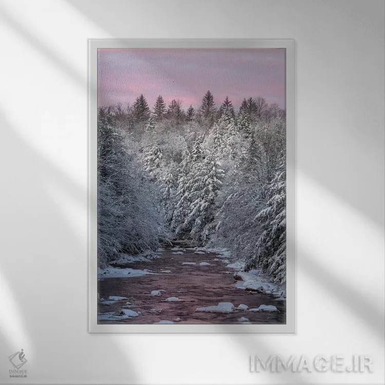 تابلو دکوراتیو West Virginia, Blackwater Falls State Park. Forest and strea… اثر جینز گالری - نمای قابدار سفید