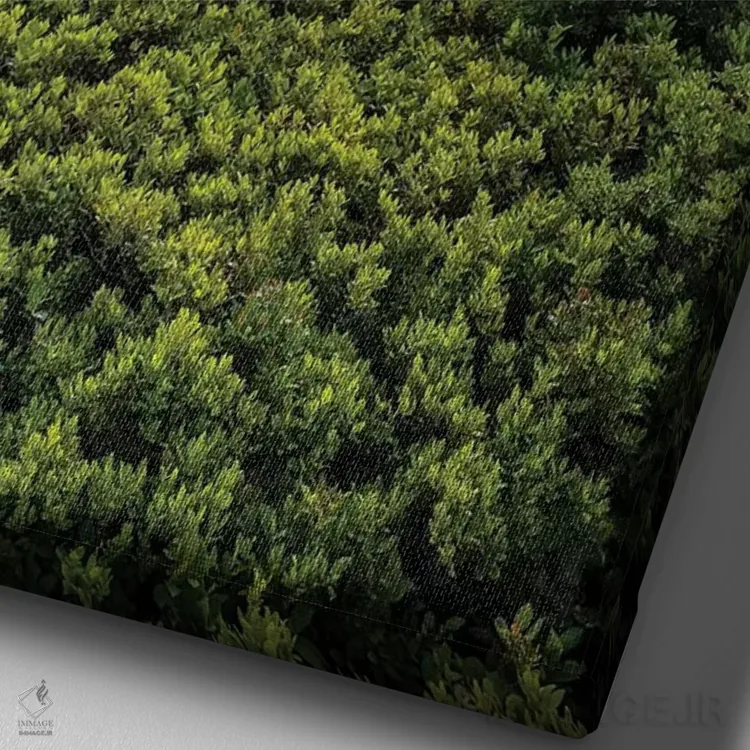 تابلو دکوراتیو West Virginia, Blackwater Falls State Park. Tree and landsca… اثر جینز گالری - نمای نزدیک بافت بوم