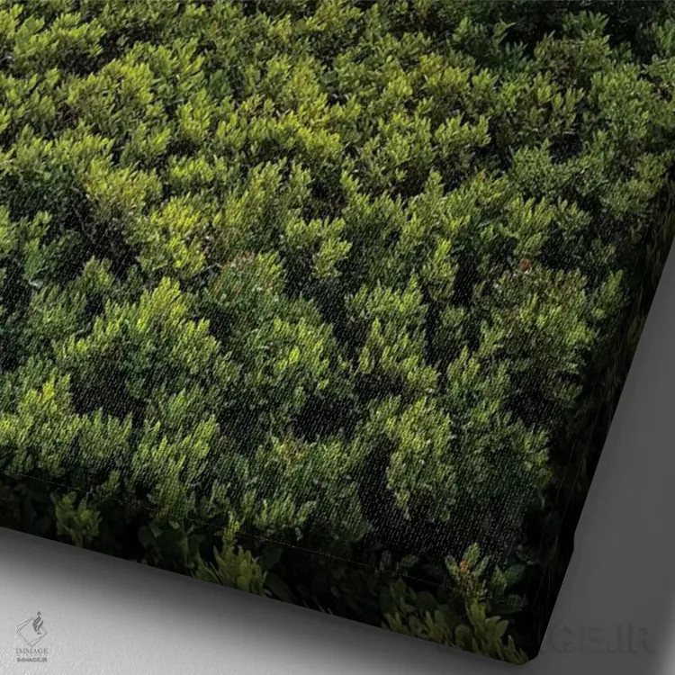 تابلو دکوراتیو West Virginia, Blackwater Falls State Park. Tree and landsca… اثر جینز گالری - نمای نزدیک بافت بوم