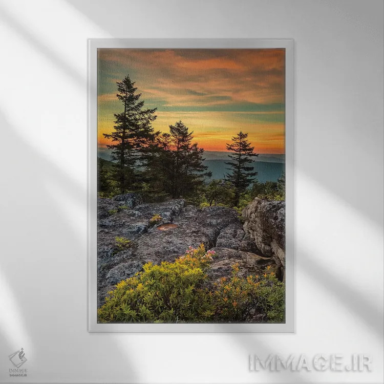 تابلو دکوراتیو West Virginia, Blackwater Falls State Park. Tree and landsca… اثر جینز گالری - نمای قابدار سفید