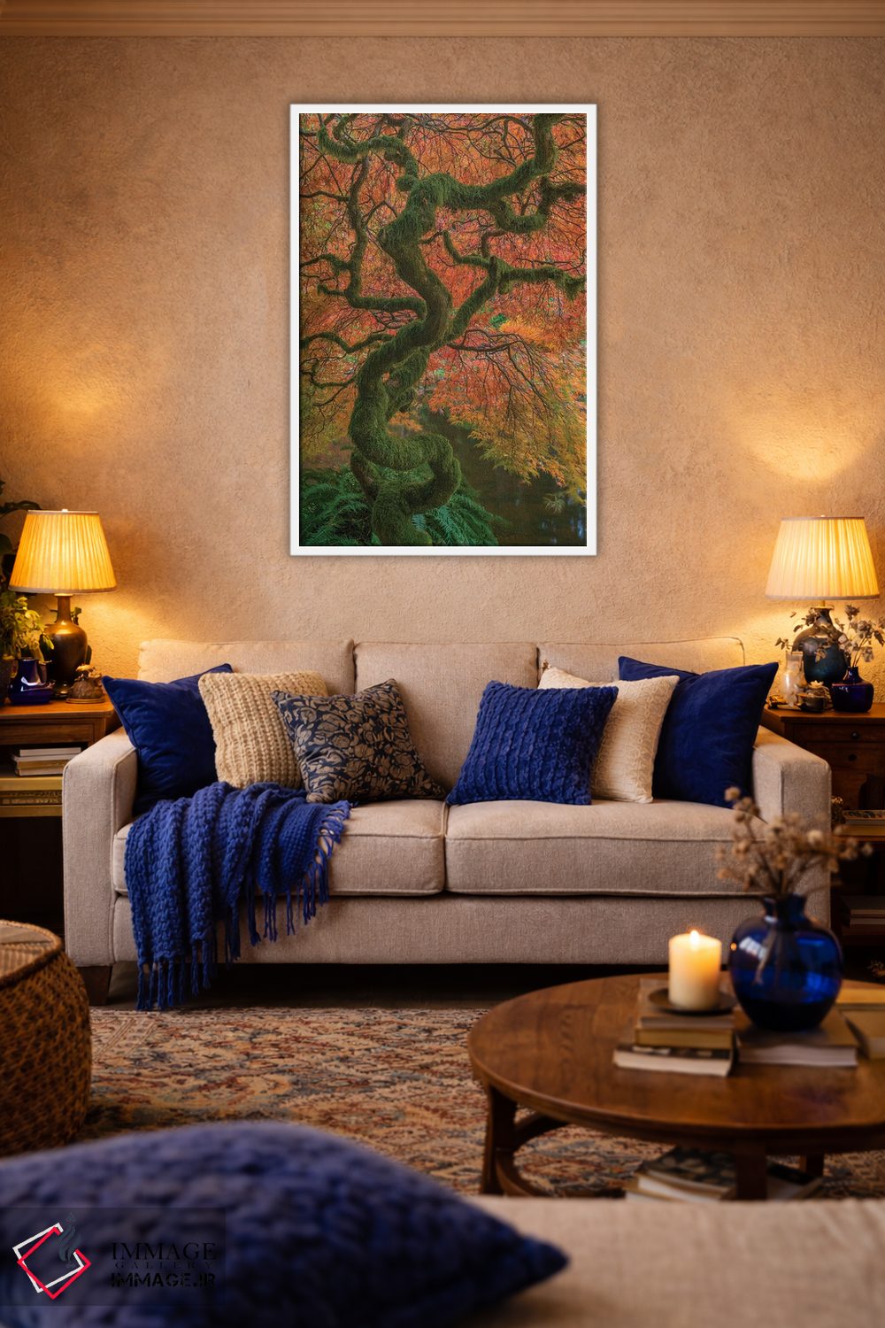 تابلو دکوراتیو Washington State, Bainbridge Island. Japanese maple tree in… اثر جینز گالری - D2W