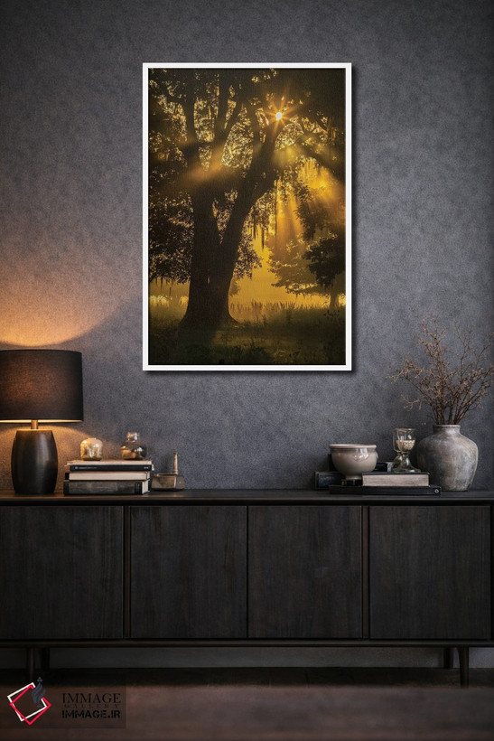 تابلو دکوراتیو Louisiana, Lake Martin. Tree silhouette in foggy sunrise.,آم… اثر جینز گالری - D1W