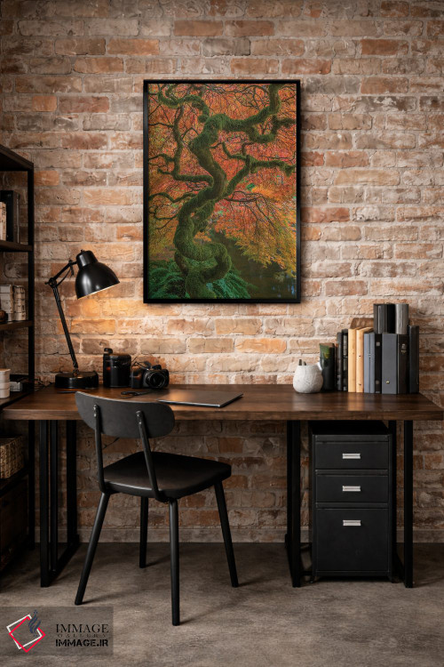 تابلو دکوراتیو Washington State, Bainbridge Island. Japanese maple tree in… اثر جینز گالری - D4B