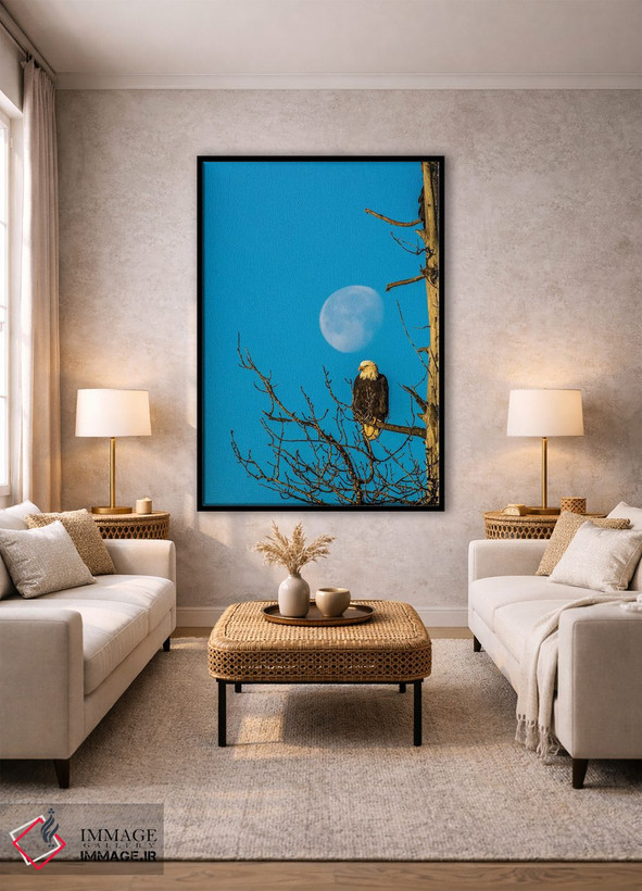 تابلو دکوراتیو Alaska, Chilkat Bald Eagle Preserve, bald eagle and moon,ایا… اثر جینز گالری - D1B