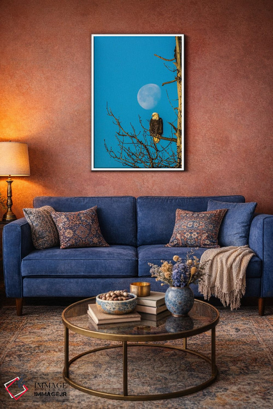 تابلو دکوراتیو Alaska, Chilkat Bald Eagle Preserve, bald eagle and moon,ایا… اثر جینز گالری - D2W