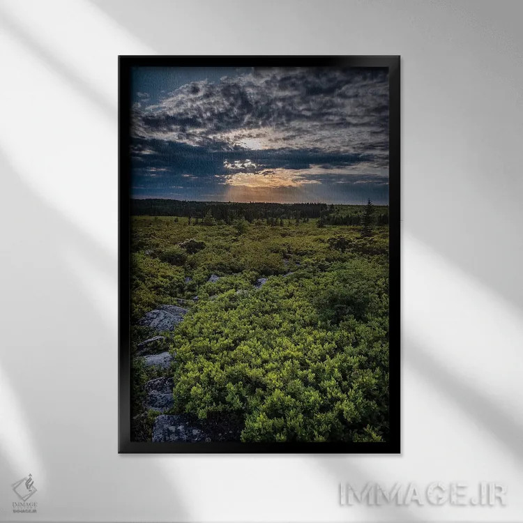 تابلو دکوراتیو West Virginia, Blackwater Falls State Park. Tree and landsca… اثر جینز گالری - نمای قابدار مشکی