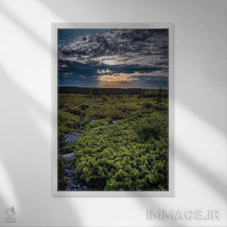 تابلو دکوراتیو West Virginia, Blackwater Falls State Park. Tree and landsca… اثر جینز گالری - نمای قابدار سفید