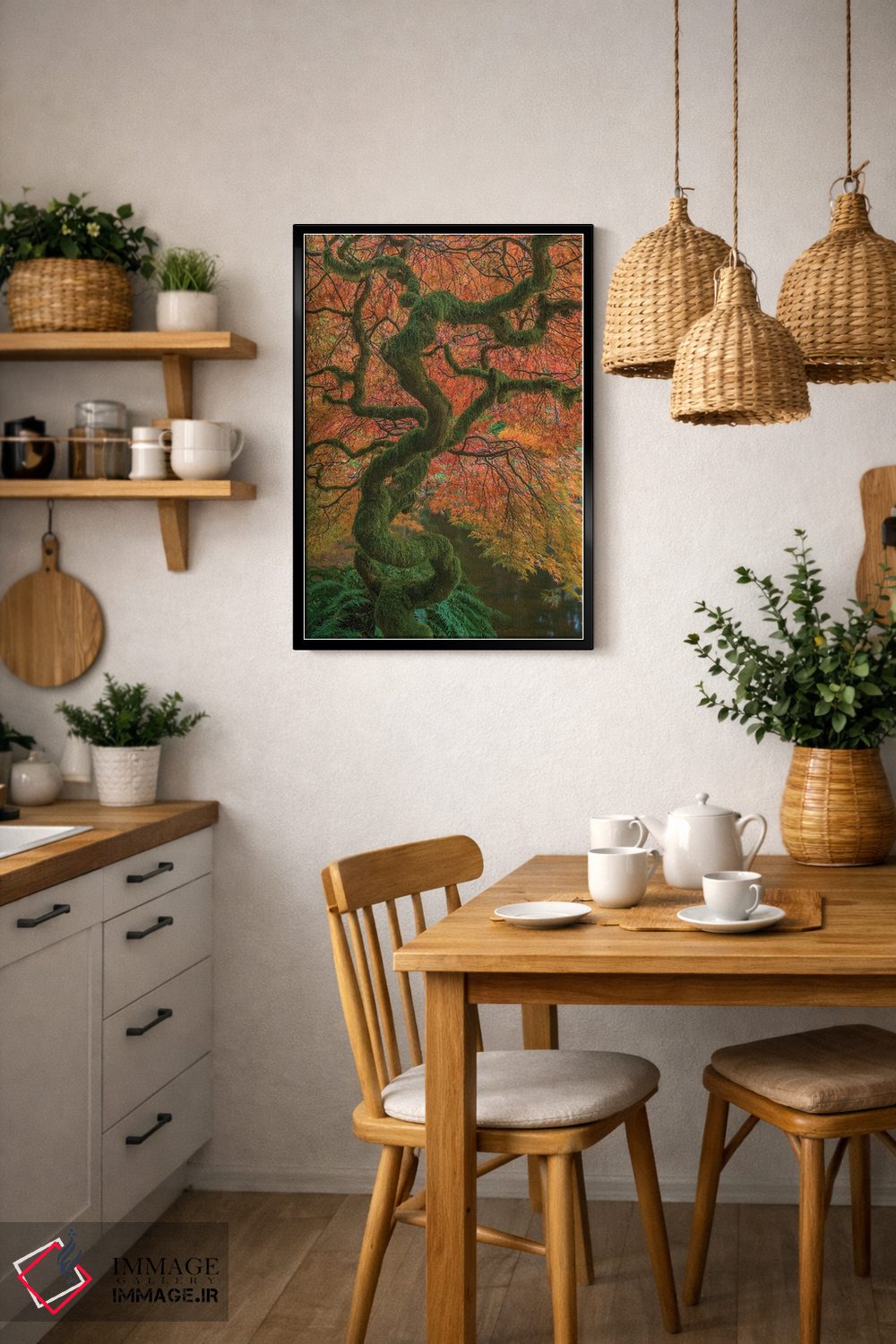 تابلو دکوراتیو Washington State, Bainbridge Island. Japanese maple tree in… اثر جینز گالری - D5B