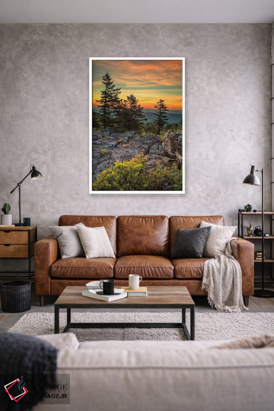 تابلو دکوراتیو West Virginia, Blackwater Falls State Park. Tree and landsca… اثر جینز گالری - D1W
