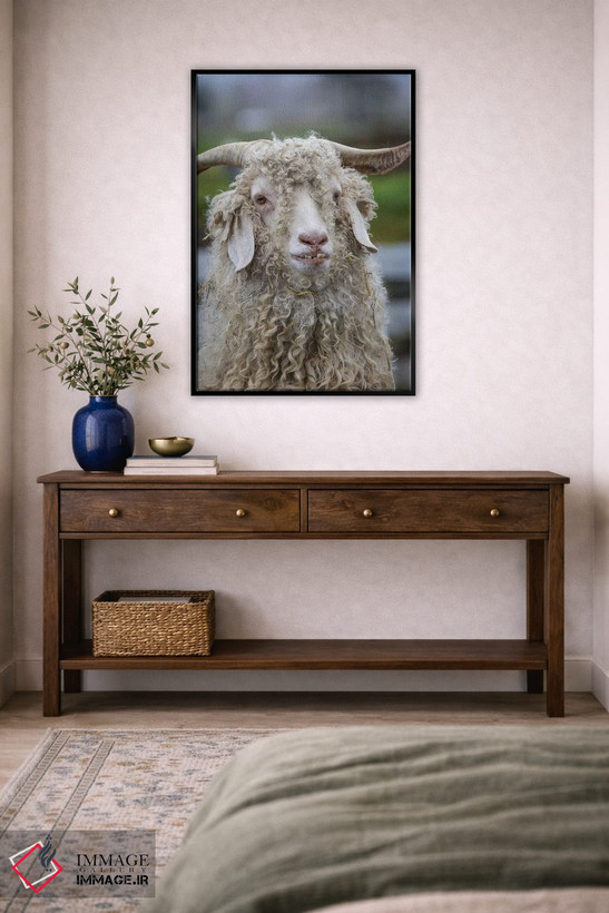 تابلو دکوراتیو Oregon. Old goat close-up.,ایالات متحده، اورگن. نمای نزدیک ب… اثر جینز گالری - D5B