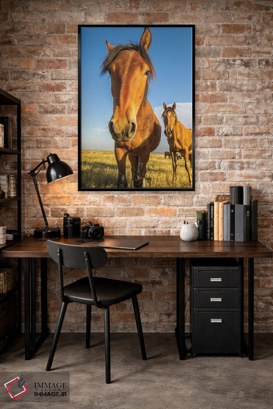 تابلو دکوراتیو Utah, Tooele County. Wild horses close-up.,ایالات متحده، یوت… اثر جینز گالری - D5B