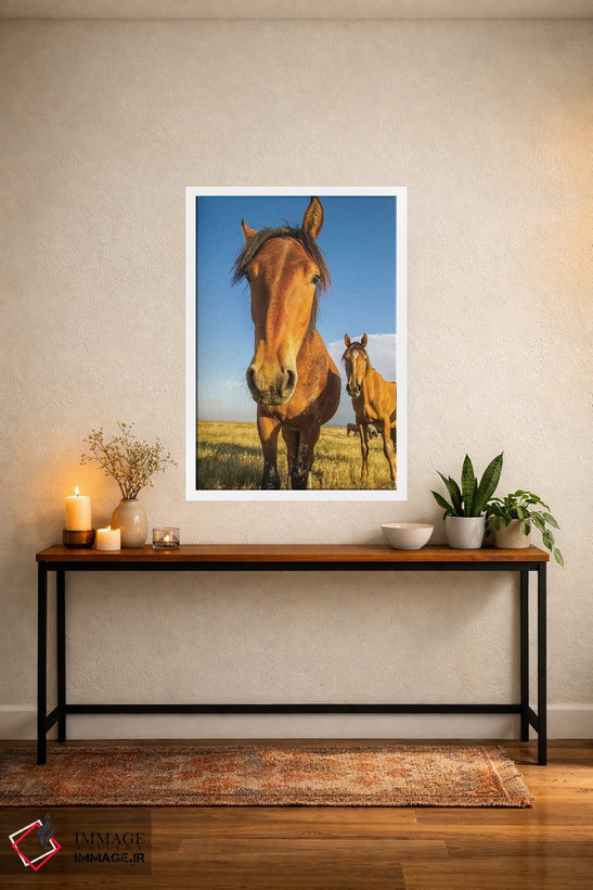 تابلو دکوراتیو Utah, Tooele County. Wild horses close-up.,ایالات متحده، یوت… اثر جینز گالری - D4W