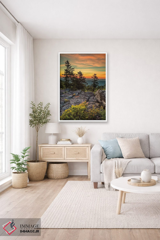 تابلو دکوراتیو West Virginia, Blackwater Falls State Park. Tree and landsca… اثر جینز گالری - D3W