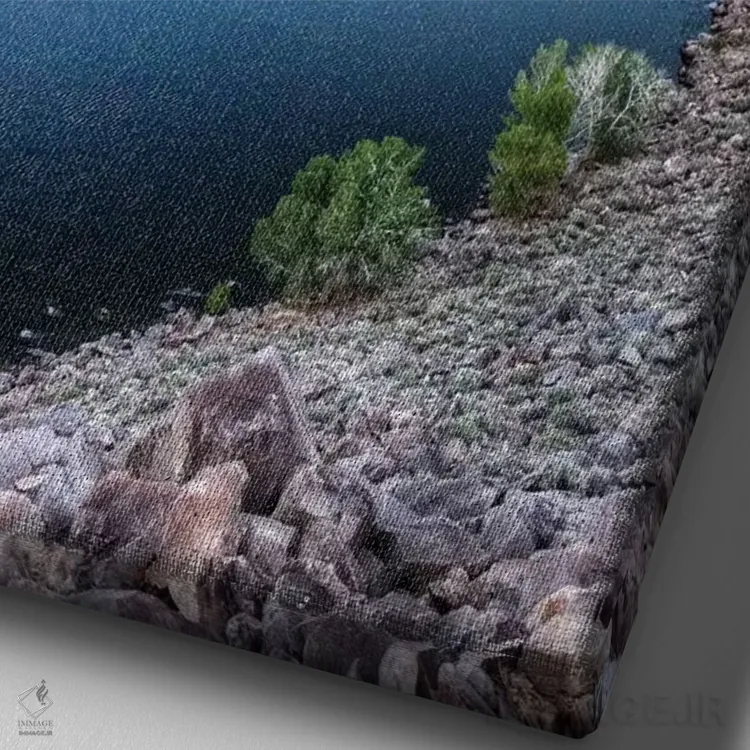 تابلو دکوراتیو California, Bishop. Landscape with Pleasant Valley Reservoir… اثر جینز گالری - نمای نزدیک بافت بوم