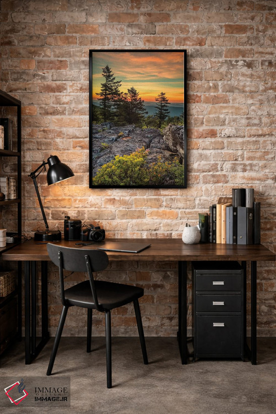 تابلو دکوراتیو West Virginia, Blackwater Falls State Park. Tree and landsca… اثر جینز گالری - D4B