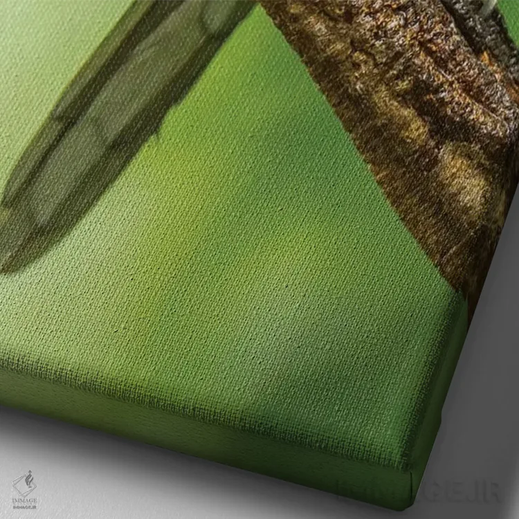 تابلو دکوراتیو Arenal. Bananaquit Feeding On Vervain.,کاستاریکا، آرنال. تغذ… اثر جینز گالری - نمای نزدیک بافت بوم