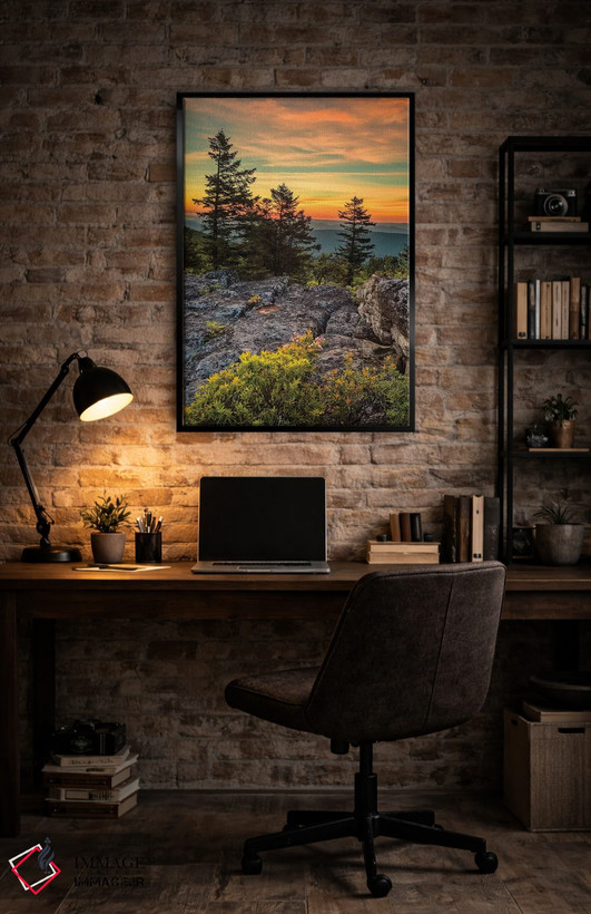 تابلو دکوراتیو West Virginia, Blackwater Falls State Park. Tree and landsca… اثر جینز گالری - D5B