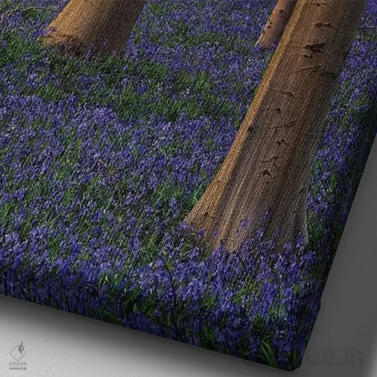 تابلو دکوراتیو بلژیک. جنگل هالر بوس با درختان و گل های بلو بل اثر جینز گالری - نمای نزدیک بافت بوم