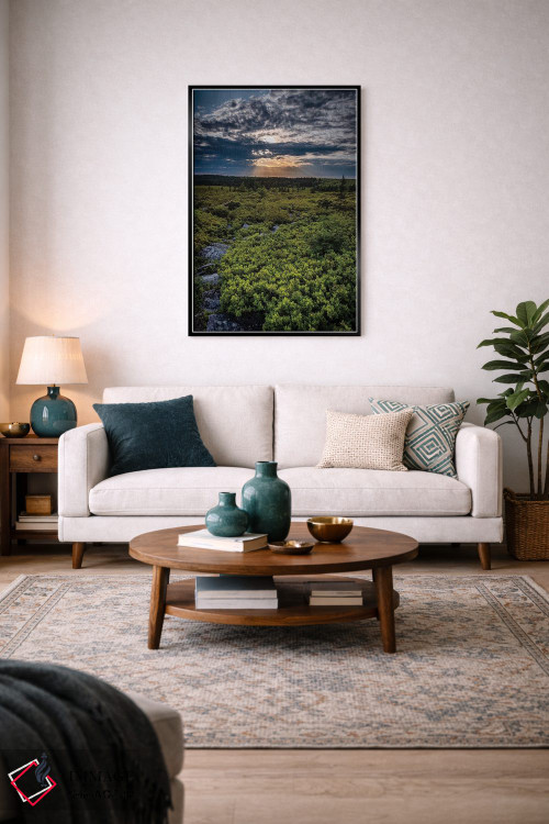 تابلو دکوراتیو West Virginia, Blackwater Falls State Park. Tree and landsca… اثر جینز گالری - D5B