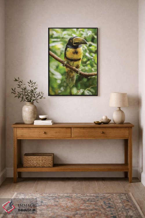 تابلو دکوراتیو La Selva Biological Research Station. Collared Aricari On Li… اثر جینز گالری - D2B