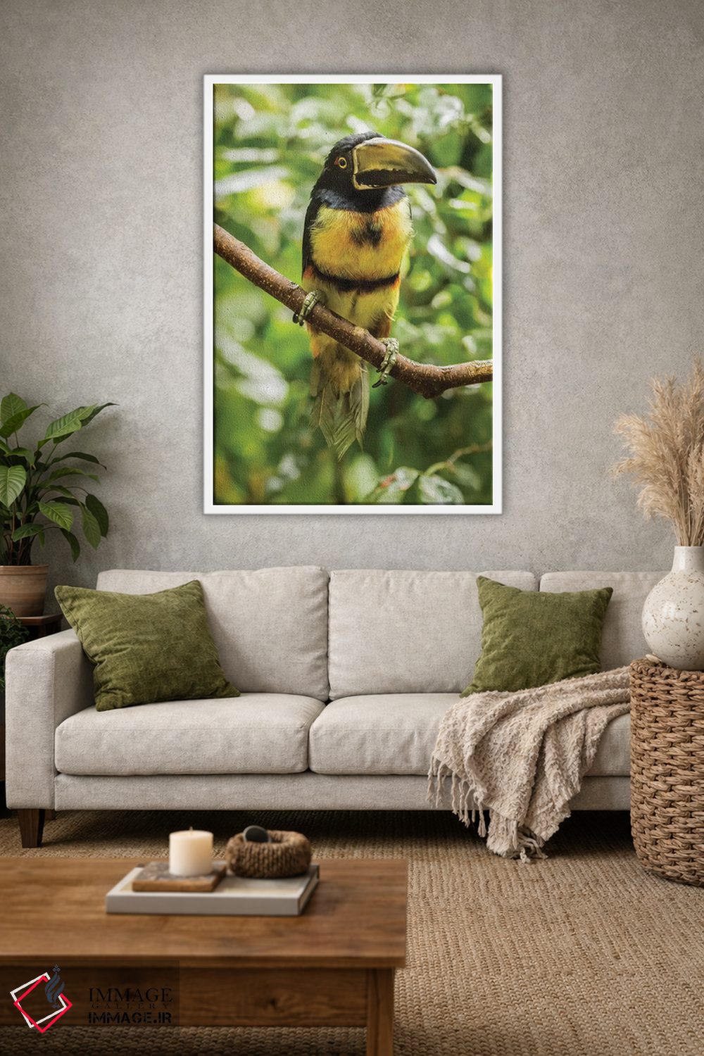 تابلو دکوراتیو La Selva Biological Research Station. Collared Aricari On Li… اثر جینز گالری - D1W