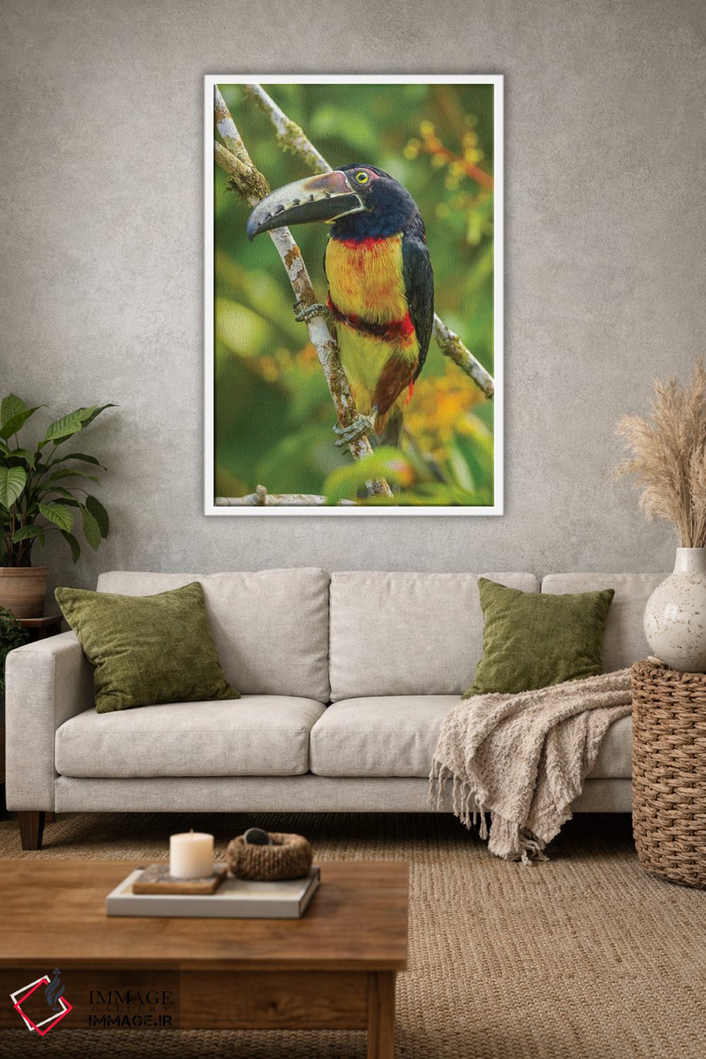 تابلو دکوراتیو La Selva Biological Research Station. Collared Aricari On Li… اثر جینز گالری - D1W