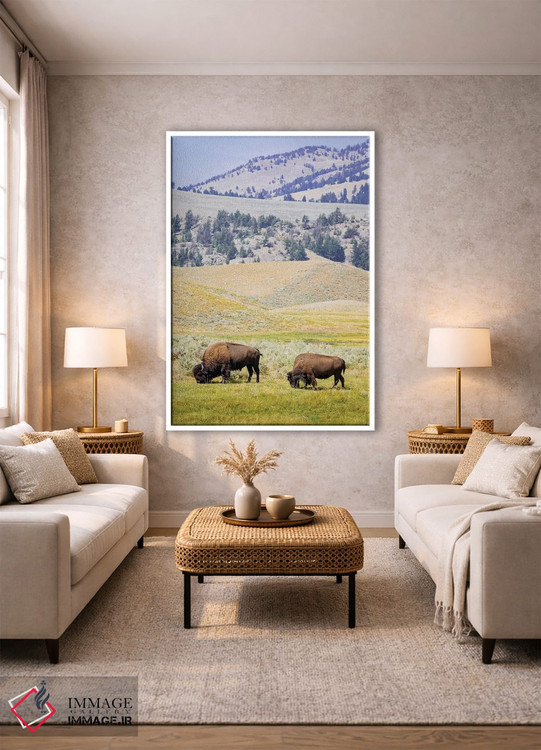 تابلو دکوراتیو Wyoming, Yellowstone National Park. Two buffalos in grassy f… اثر جینز گالری - D1W