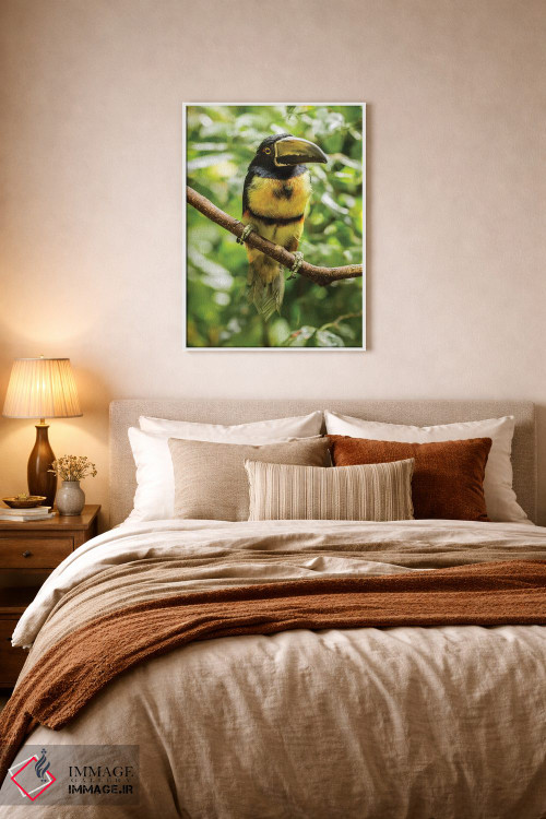 تابلو دکوراتیو La Selva Biological Research Station. Collared Aricari On Li… اثر جینز گالری - D5W