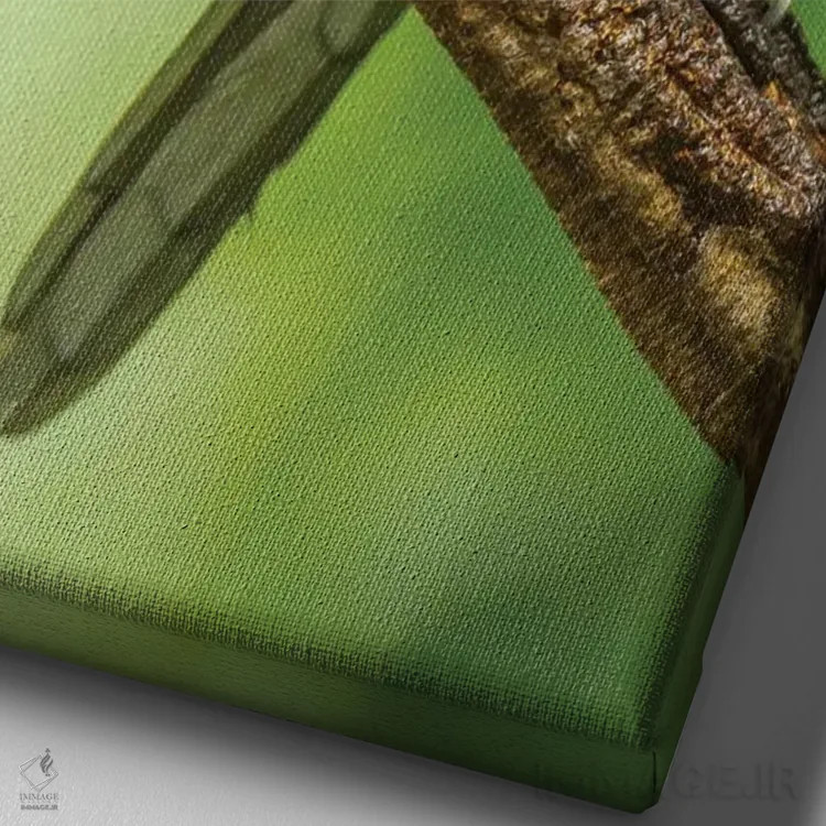 تابلو دکوراتیو La Selva Biological Research Station. Collared Aricari On Li… اثر جینز گالری - نمای نزدیک بافت بوم