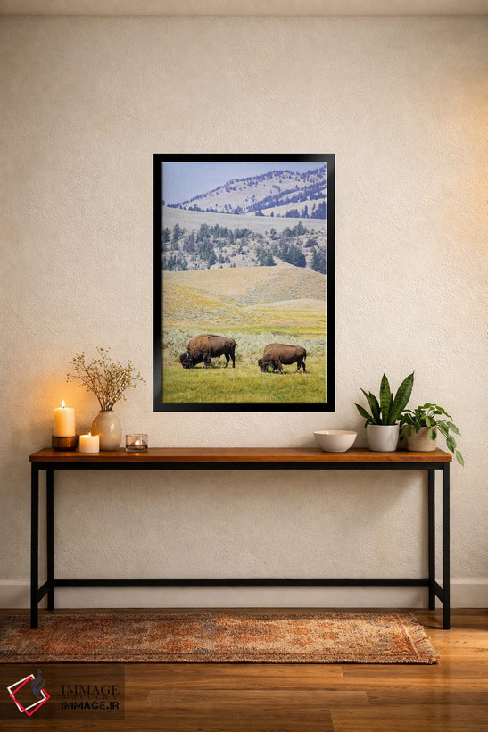 تابلو دکوراتیو Wyoming, Yellowstone National Park. Two buffalos in grassy f… اثر جینز گالری - D5B
