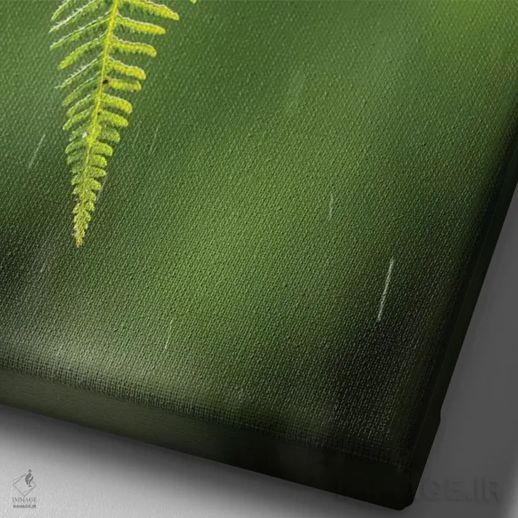 تابلو دکوراتیو Sarapique River Valley. Fern In Rain.,کاستاریکا، دره رود سرپ… اثر جینز گالری - نمای نزدیک بافت بوم