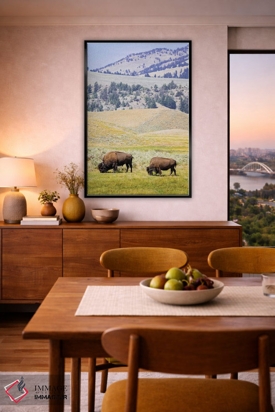 تابلو دکوراتیو Wyoming, Yellowstone National Park. Two buffalos in grassy f… اثر جینز گالری - D6B