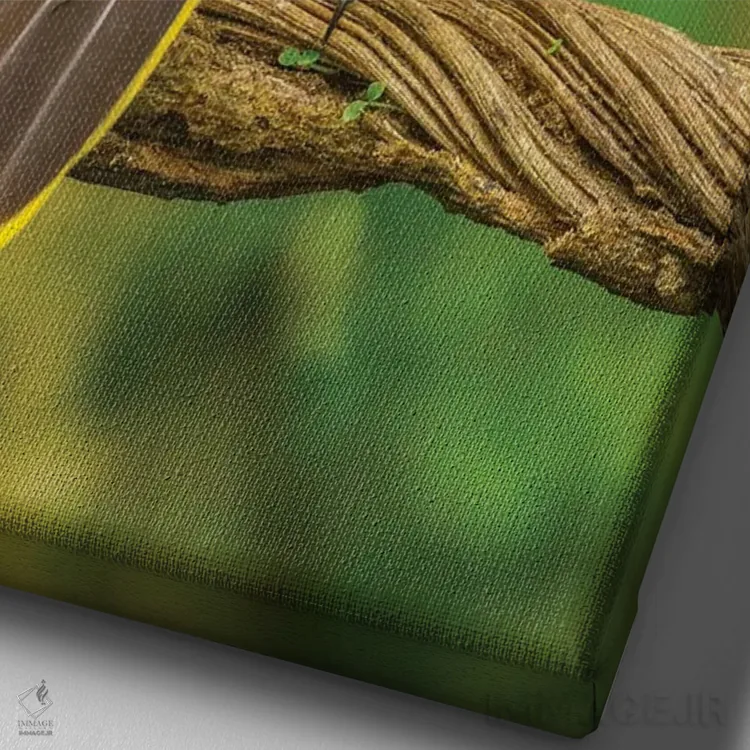 تابلو دکوراتیو Sarapiqui River Valley. Montezuma Oropendola Bird On Vine.,ک… اثر جینز گالری - نمای نزدیک بافت بوم