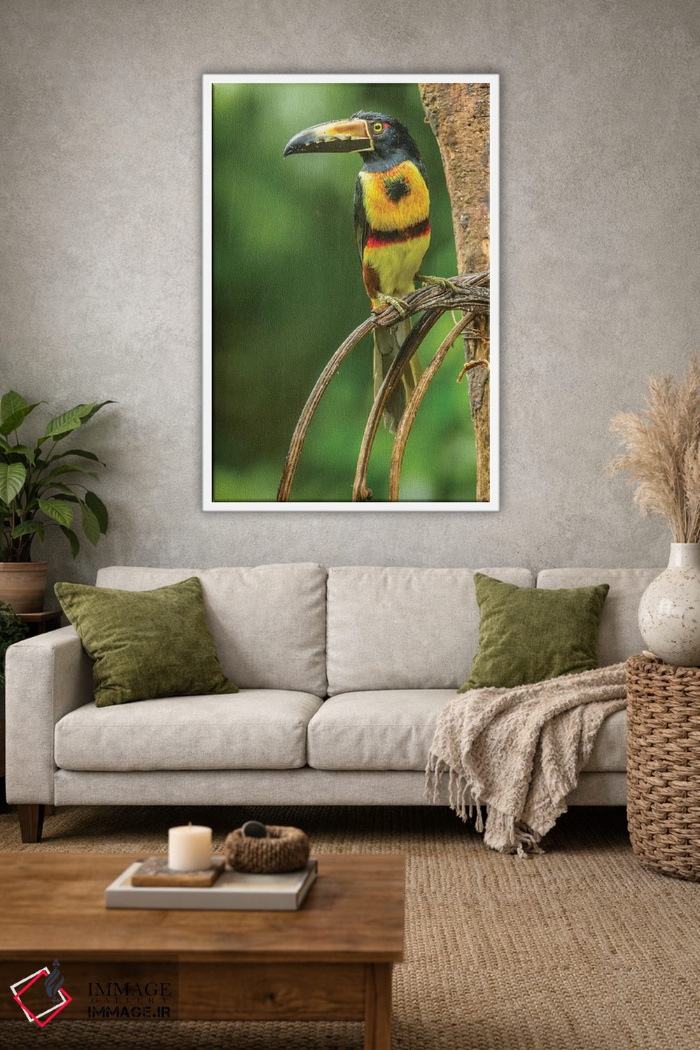 تابلو دکوراتیو La Selva Biological Research Station. Collared Aricari On Li… اثر جینز گالری - D1W