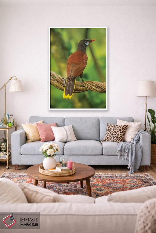 تابلو دکوراتیو Sarapiqui River Valley. Montezuma Oropendola Bird On Vine.,ک… اثر جینز گالری - D1W