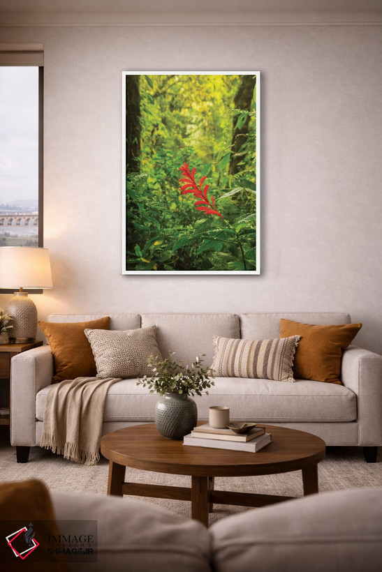 تابلو دکوراتیو Monte Verde Cloud Forest Reserve. Rainforest Scenic.,کاستاری… اثر جینز گالری - D2W
